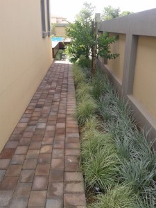 House-Hlongwane_2  