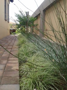 House-Hlongwane_7  