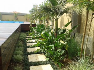 House-Hlongwane_8  