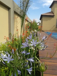House-Hlongwane_9  